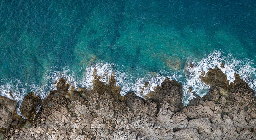 Sustainability Report