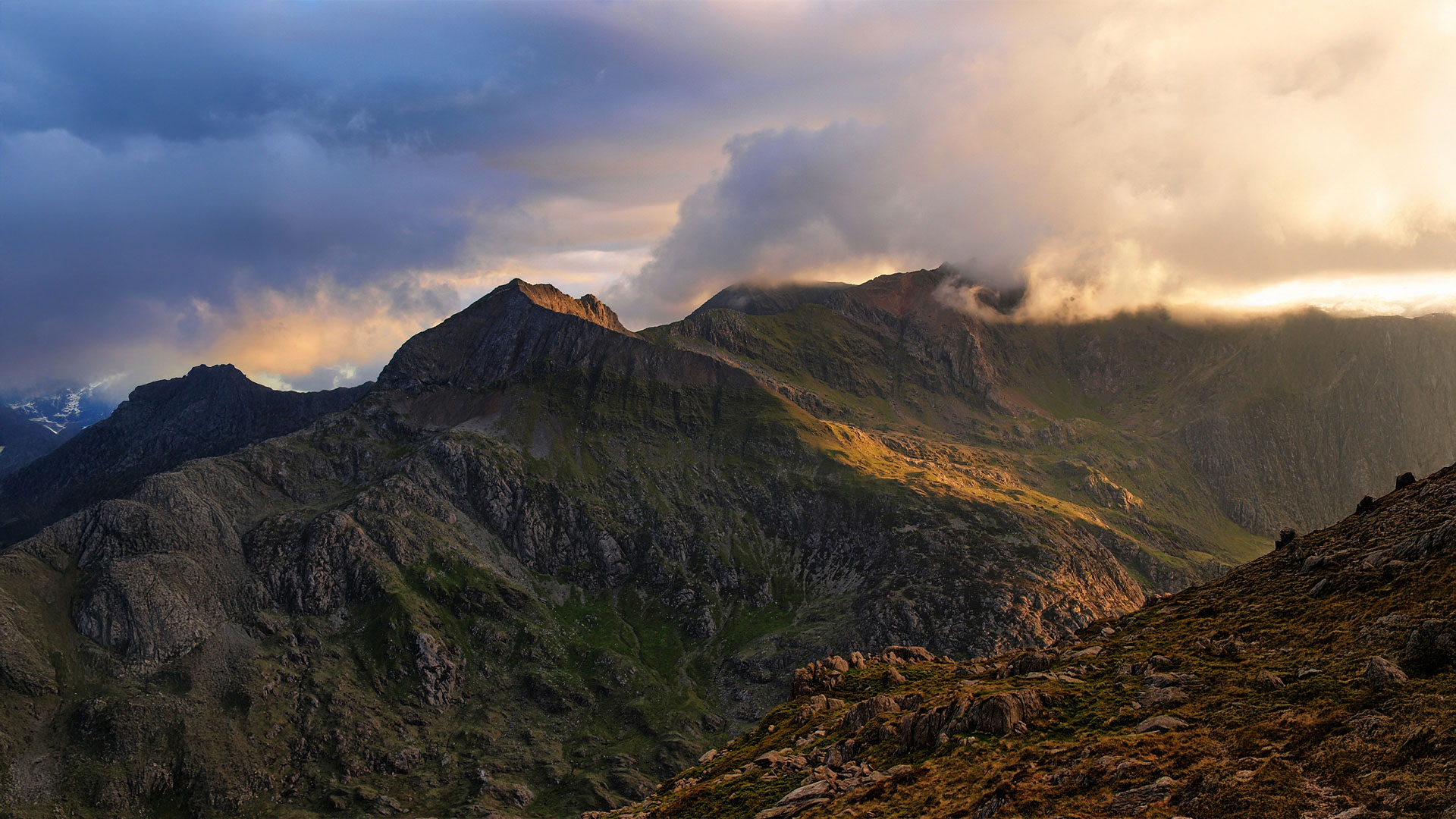 New Energy Solutions